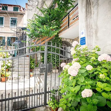 Sara Apartman *