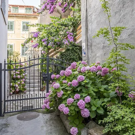 Apartament Sara